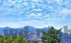 118比分直播足球比分-118比分直播，足球迷的实时战场，激情与数据的完美交融
