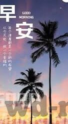 汉堡 菲尔特足球比分-汉堡VS菲尔特，足球比分背后的绿茵风云与美食情怀