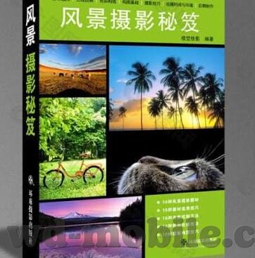 竞彩足球比分投注-竞彩足球比分投注，理性与策略的博弈艺术