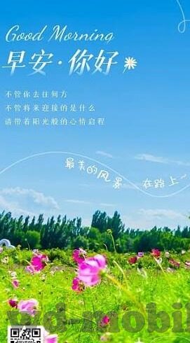 足球比分990-足球比分990，一场数字狂欢背后的足球哲学与人性思考