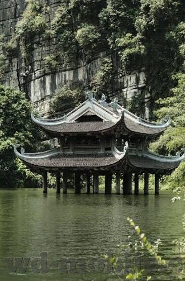 足球比分图文直播-足球比分图文直播，绿茵场上的实时盛宴