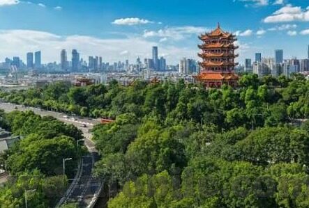 足球比分最多的比赛-绿茵场上的数字狂欢，探秘足球史上比分最多的经典战役