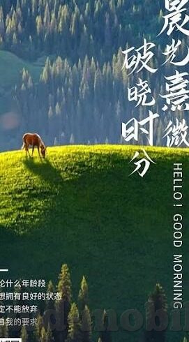 足球球探比分网即时比分-足球球探比分网即时比分，足球世界的实时脉搏